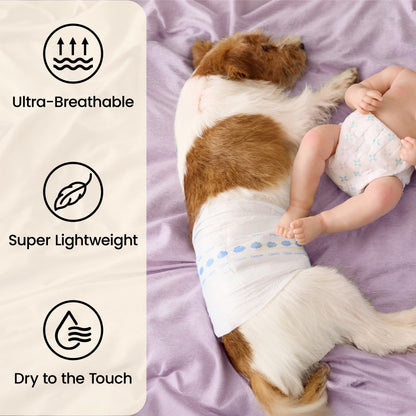 Lesure Disposable Male Dog Diapers