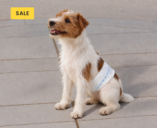 Lesure Disposable Male Dog Diapers
