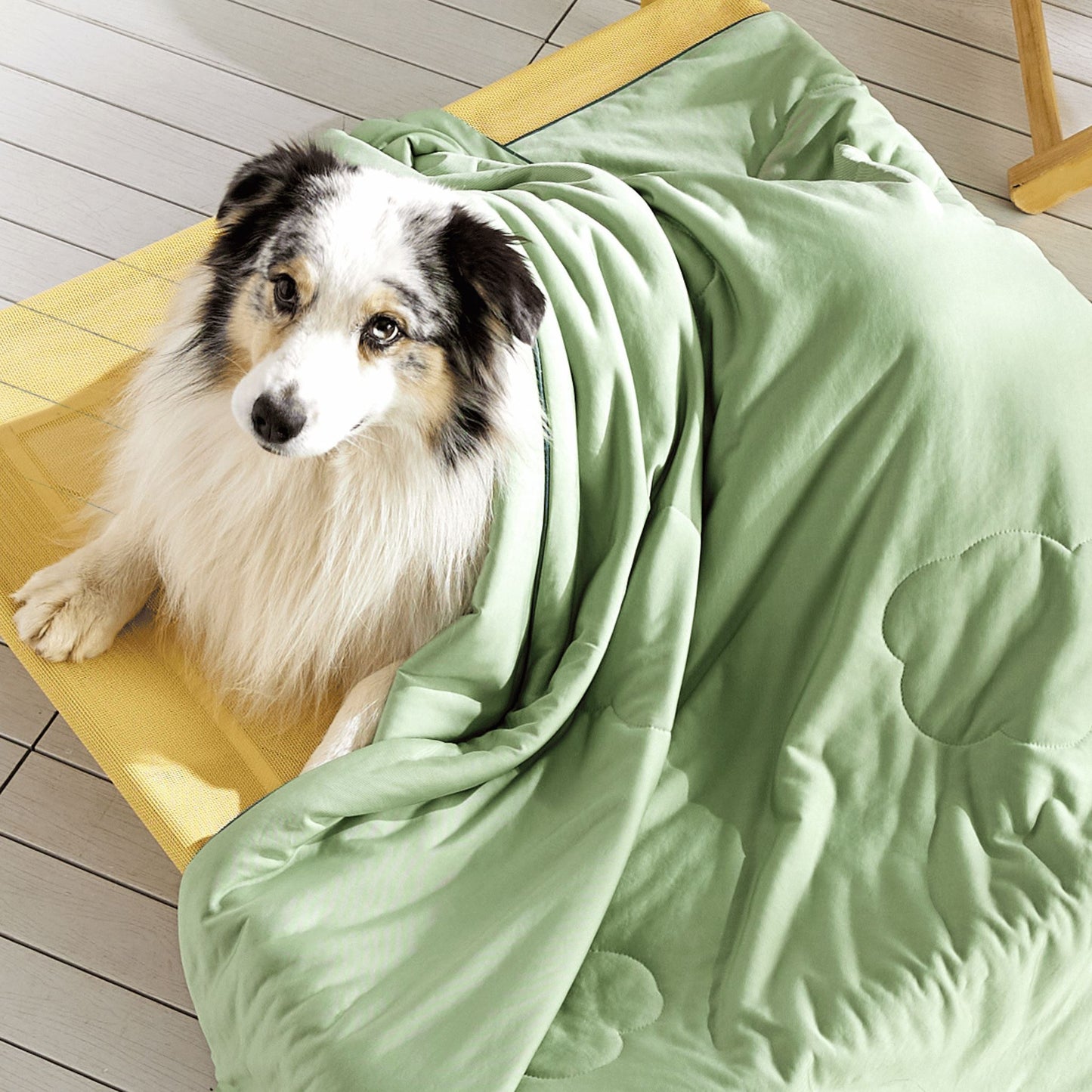 Cooling Pet Blanket Lesure Pet