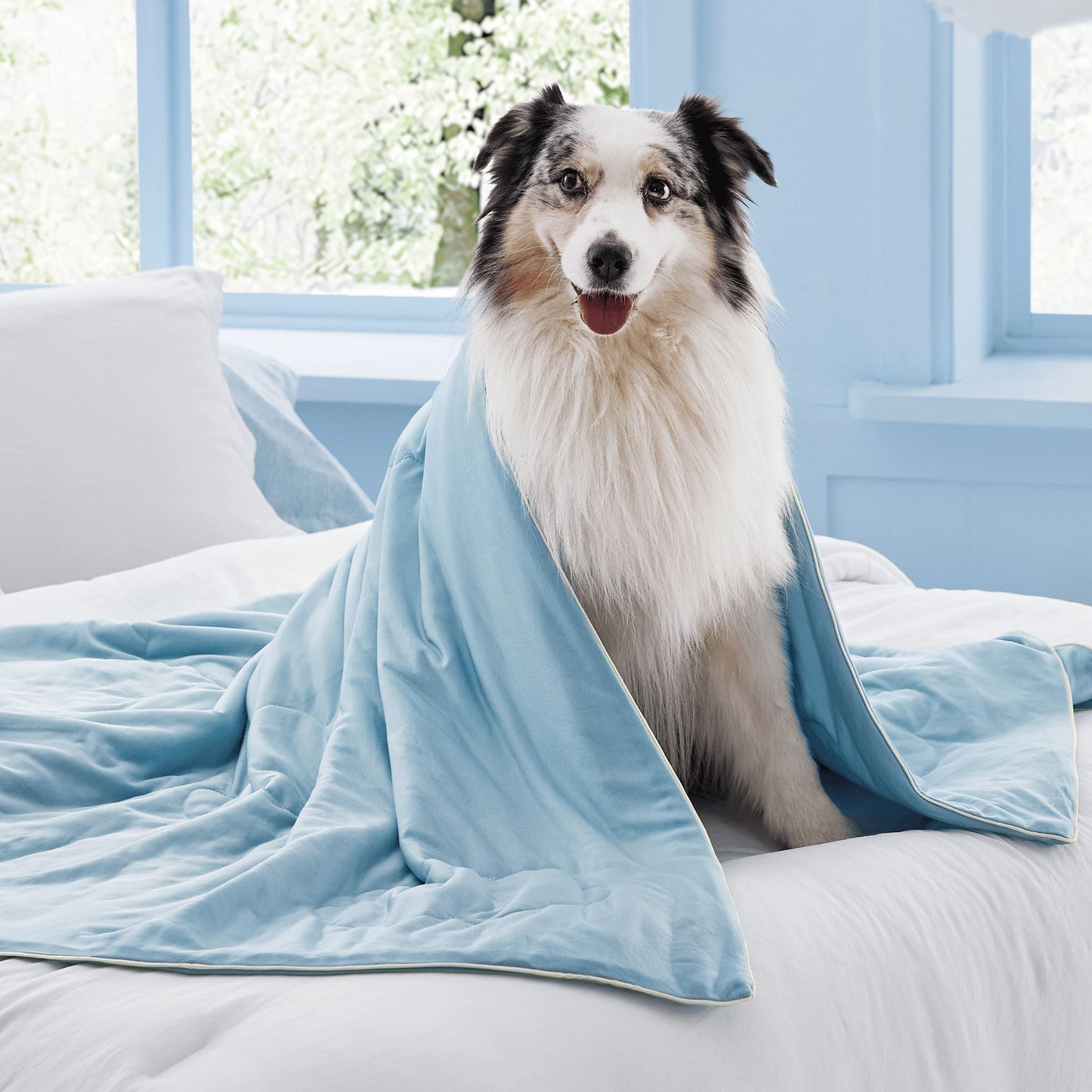 Cooling Pet Blanket Lesure Pet