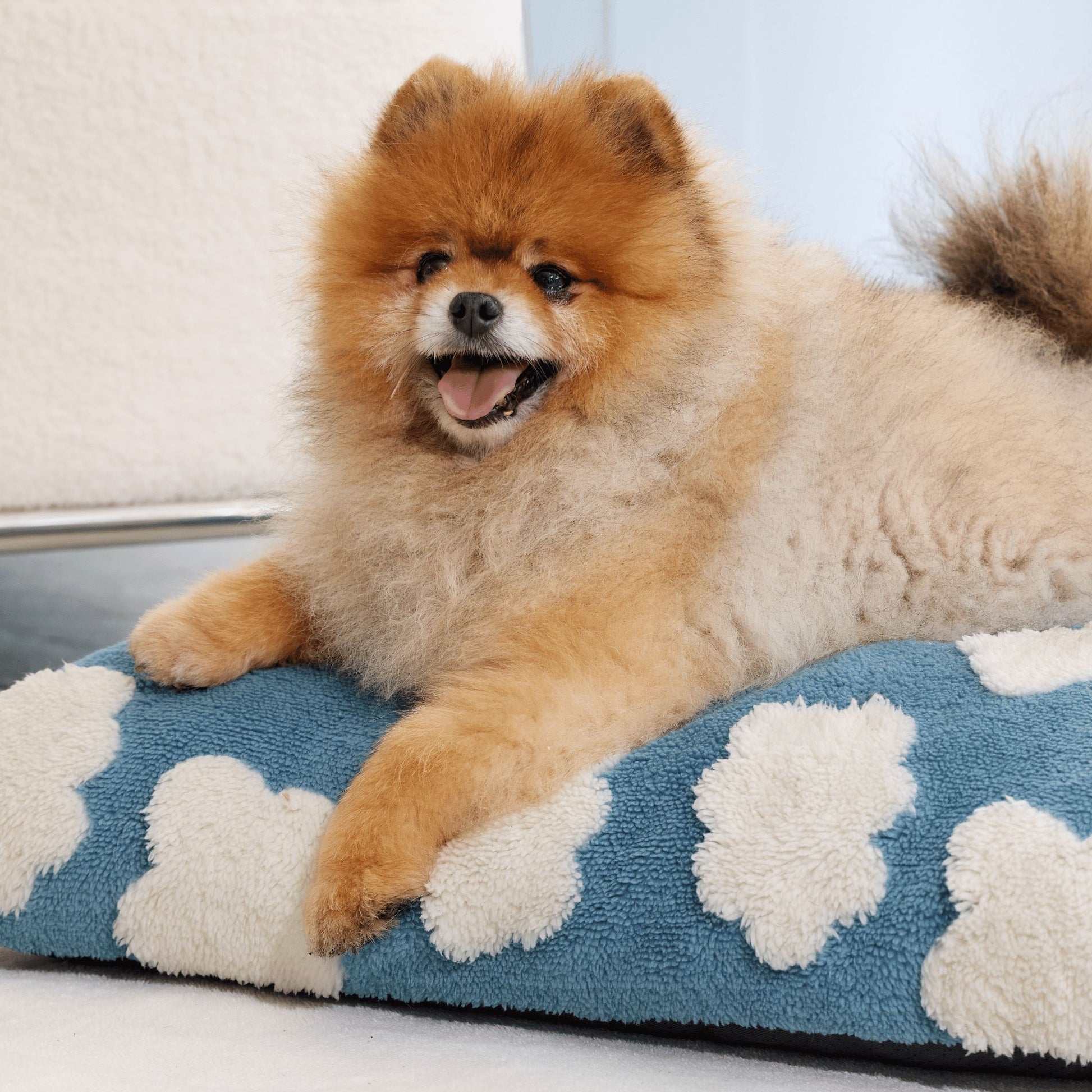 Waterproof Pet Mattress Lesure Pet