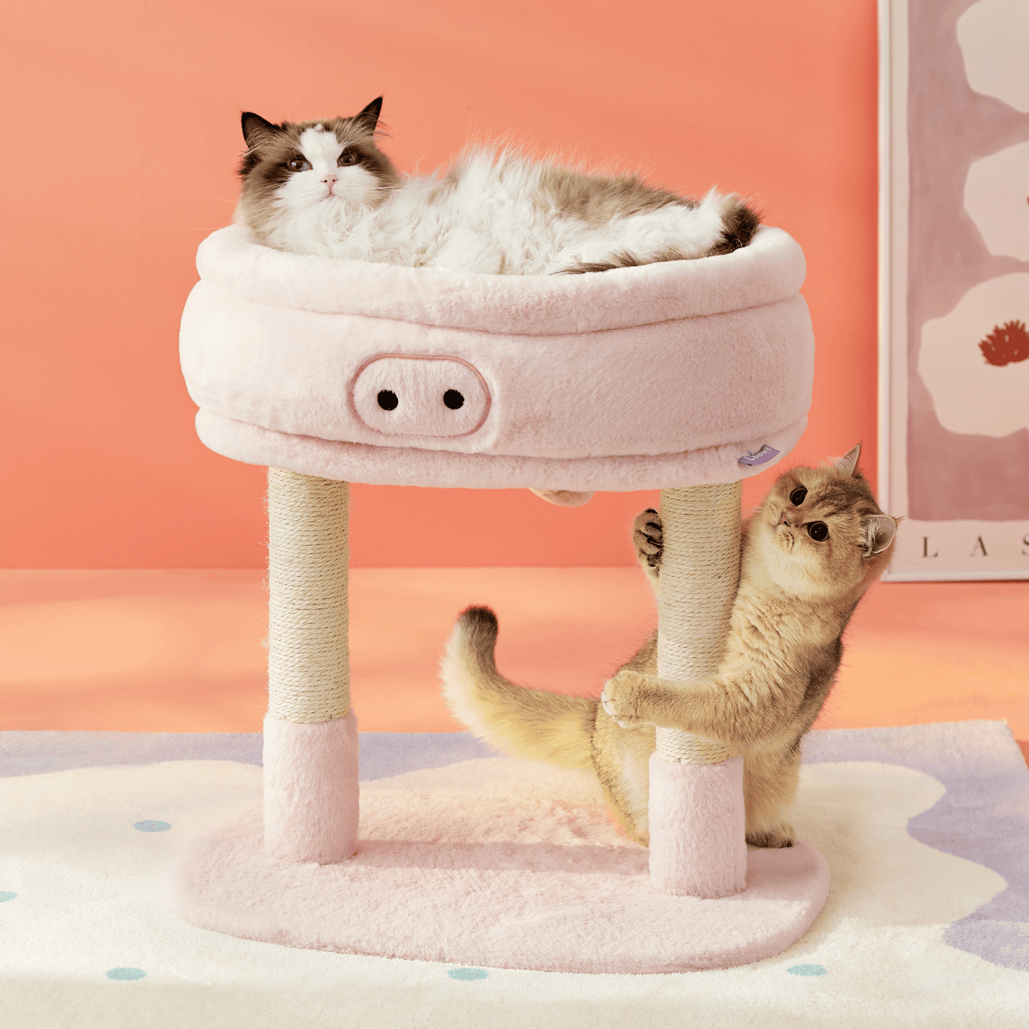 2-in-1 Cat Scratching Post