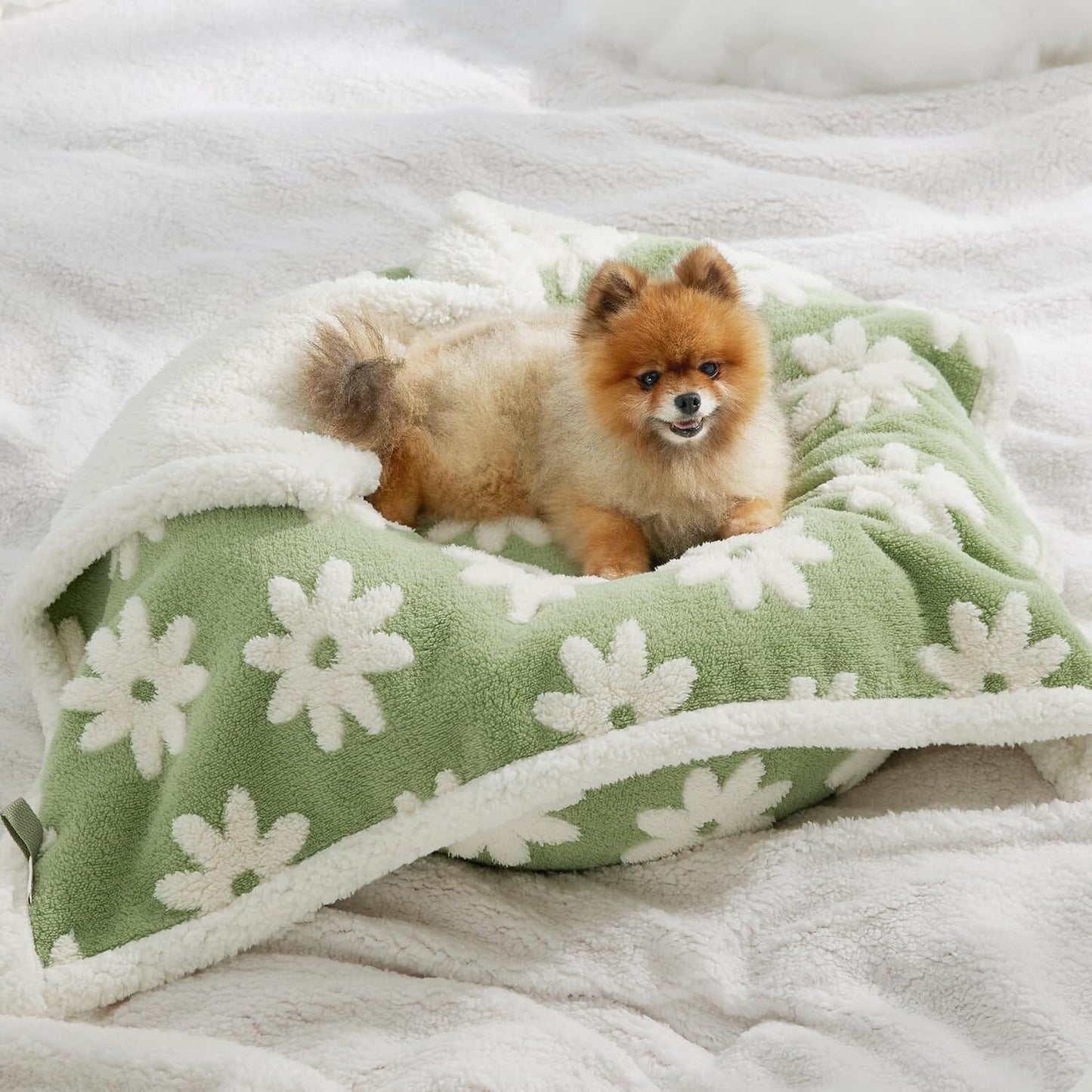 Lesure Waterproof Puppy Blanket for Dog/Cat Puppy Blanket Lesure Pet