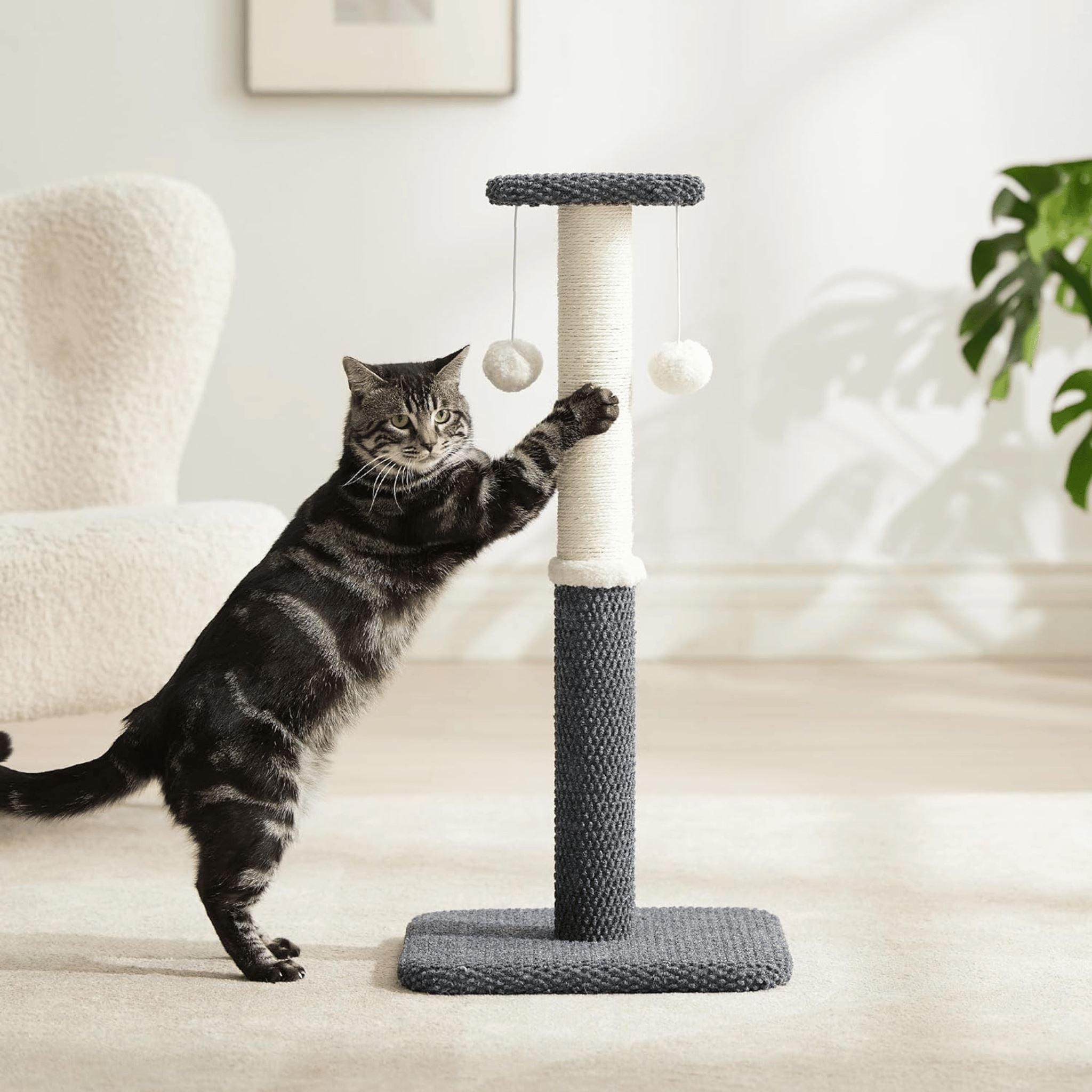 Pet on sale scratching post