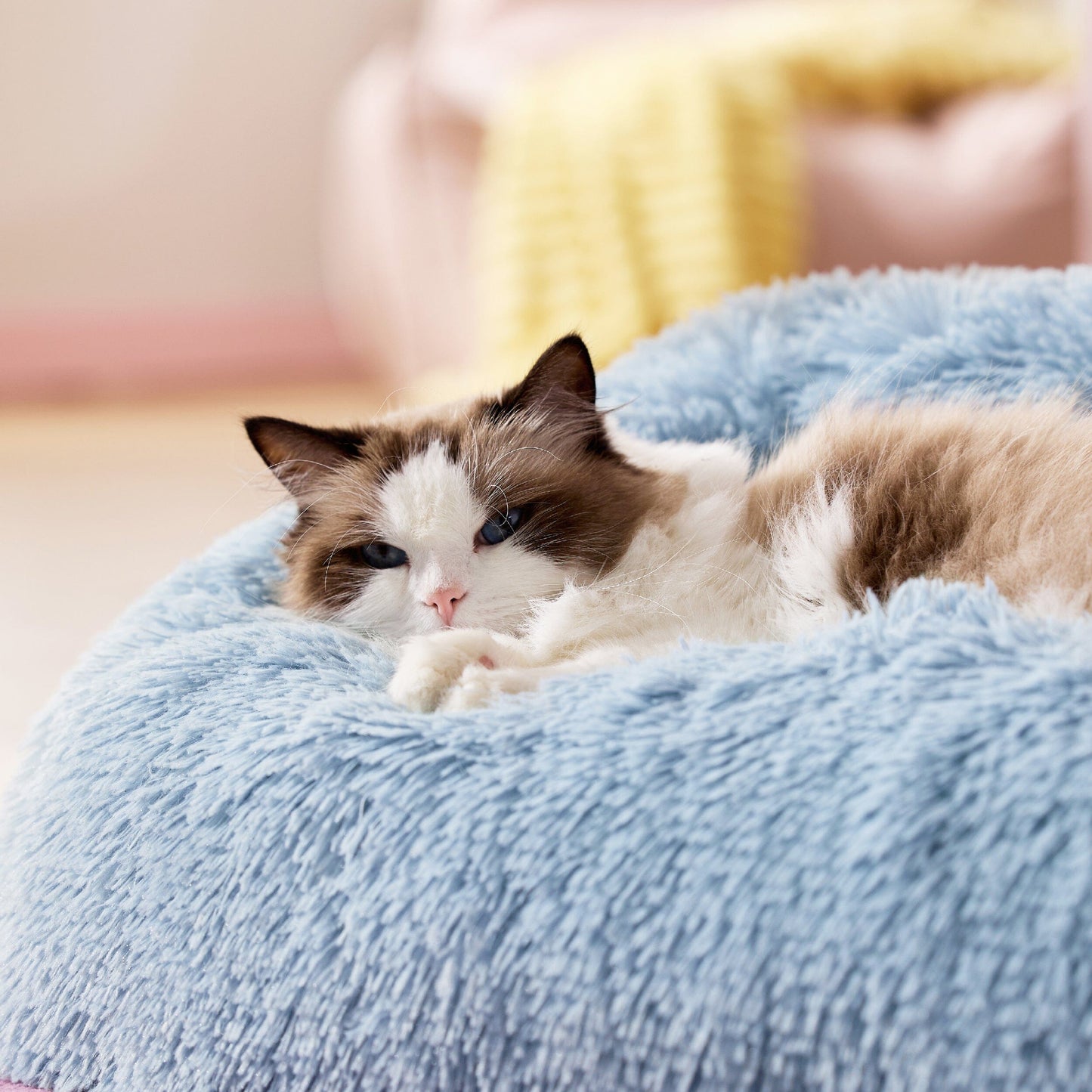 Lesure Furry Cat Dog Bed Pet Bed Lesure Pet