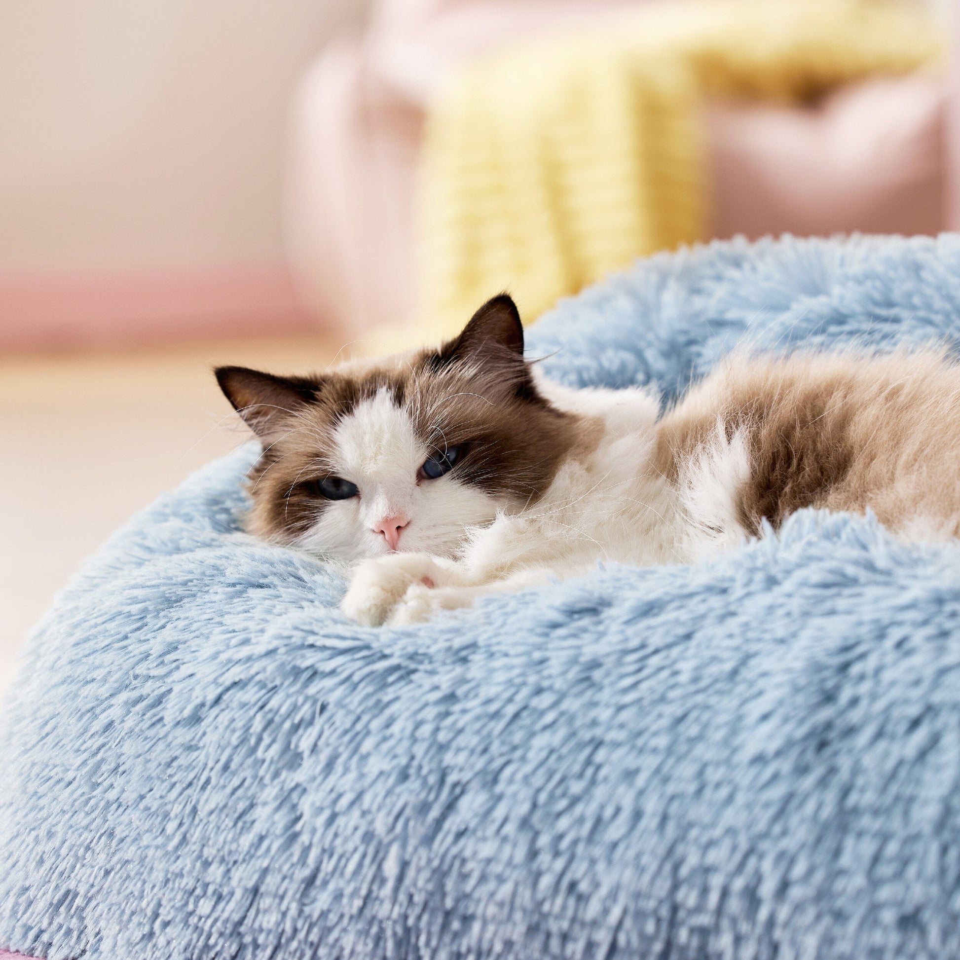 Lesure Furry Cat Dog Bed Pet Bed Lesure Pet