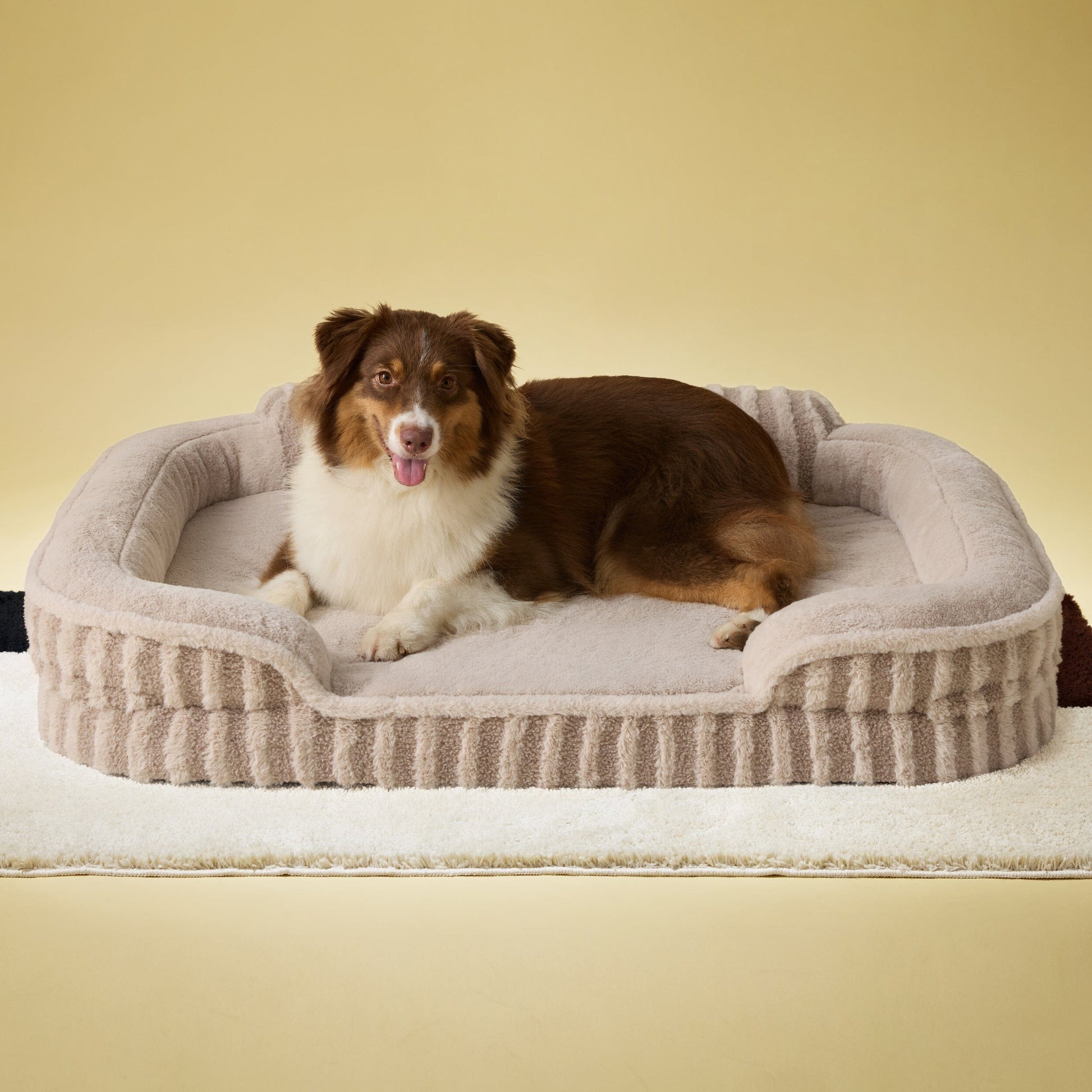 Lesure High Back Pet Sofa Pet Bed Lesure Pet