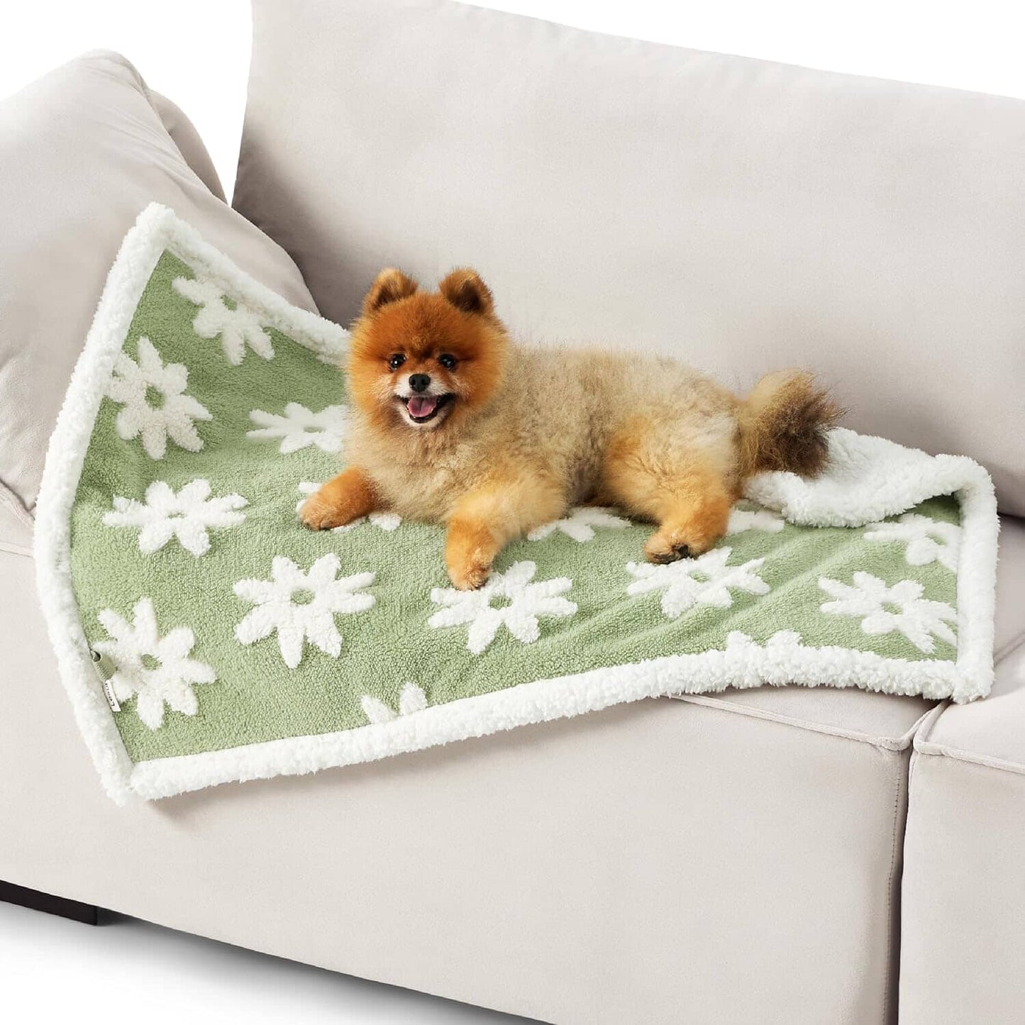 Lesure Waterproof Puppy Blanket for Dog/Cat Puppy Blanket Lesure Pet