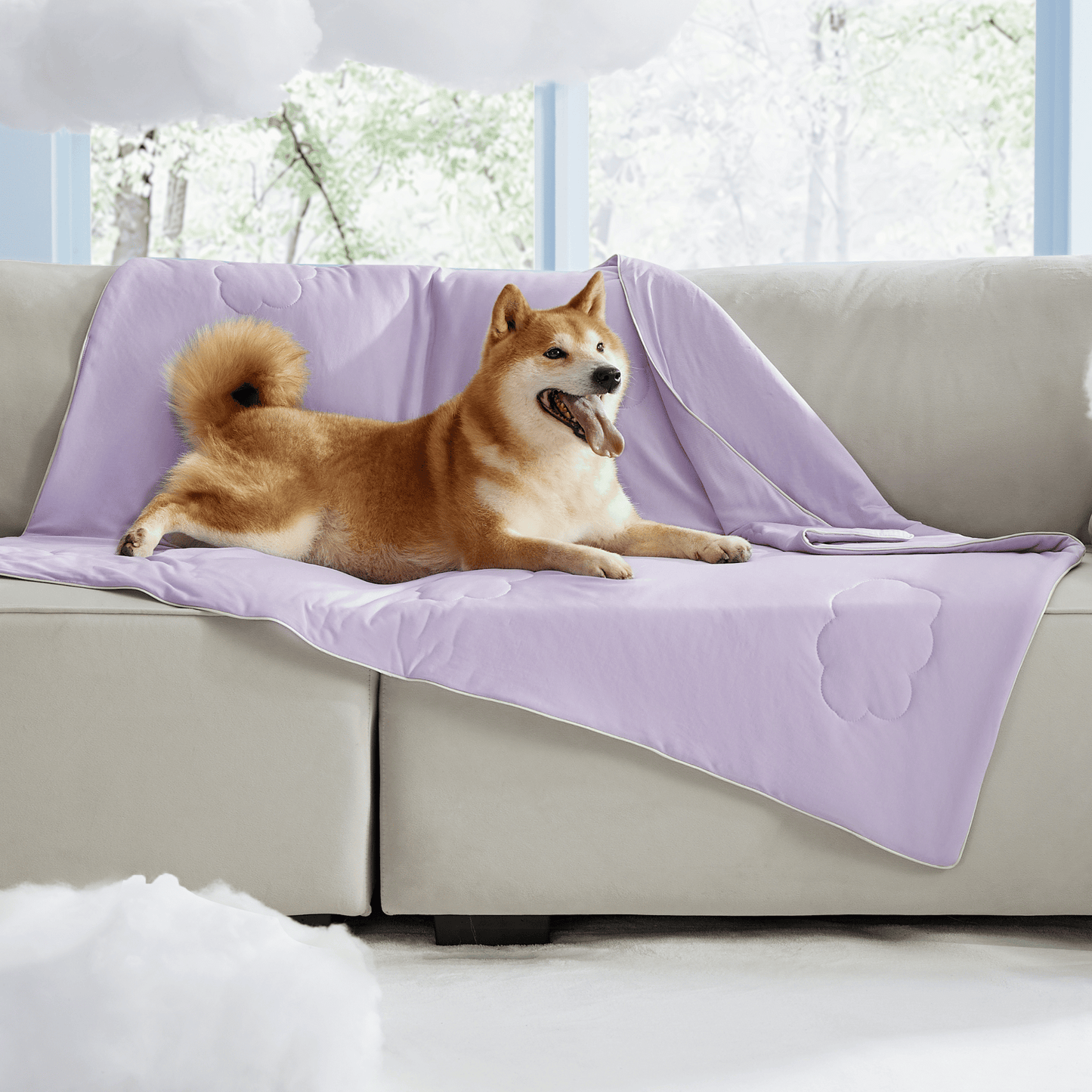 Cooling Pet Blanket