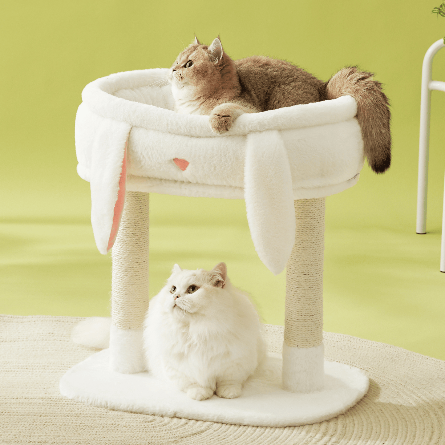 2-in-1 Cat Scratching Post