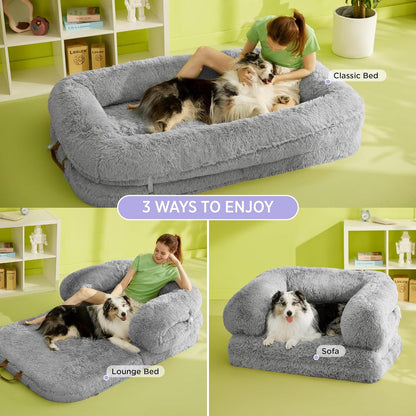 Lesure 3 in 1 Foldable Human Dog Bed Pet Bed Lesure Pet