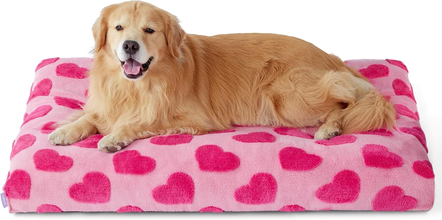 Lesure Dog Bed Pet Bed Lesure Pet