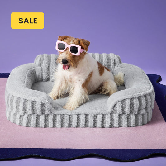 Lesure High Back Pet Sofa
