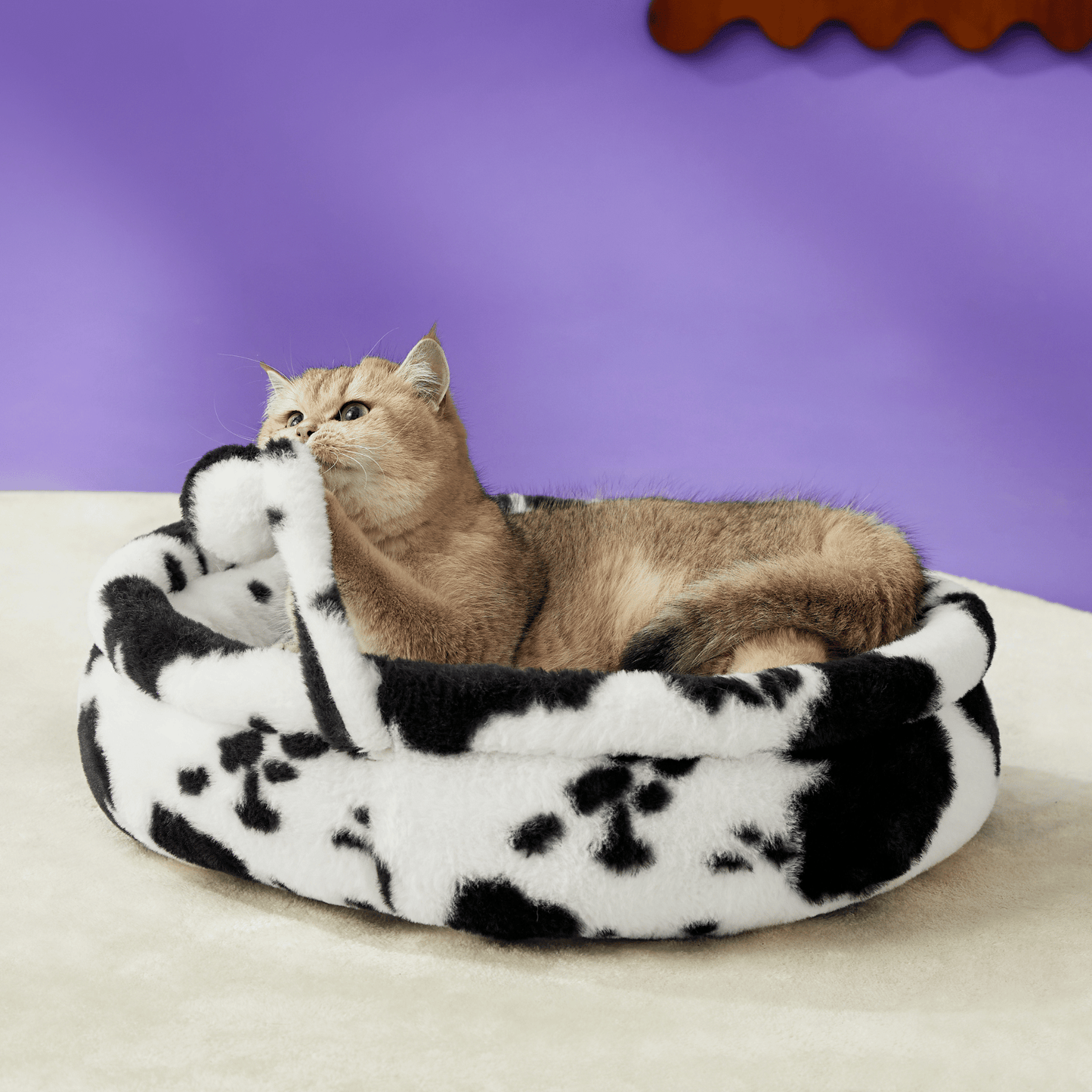 2-in-1 Cat Scratching Post