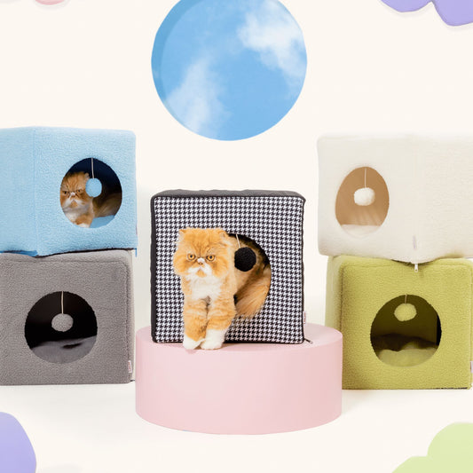 Sherpa Cat Cube Pet Supplies Lesure Pet