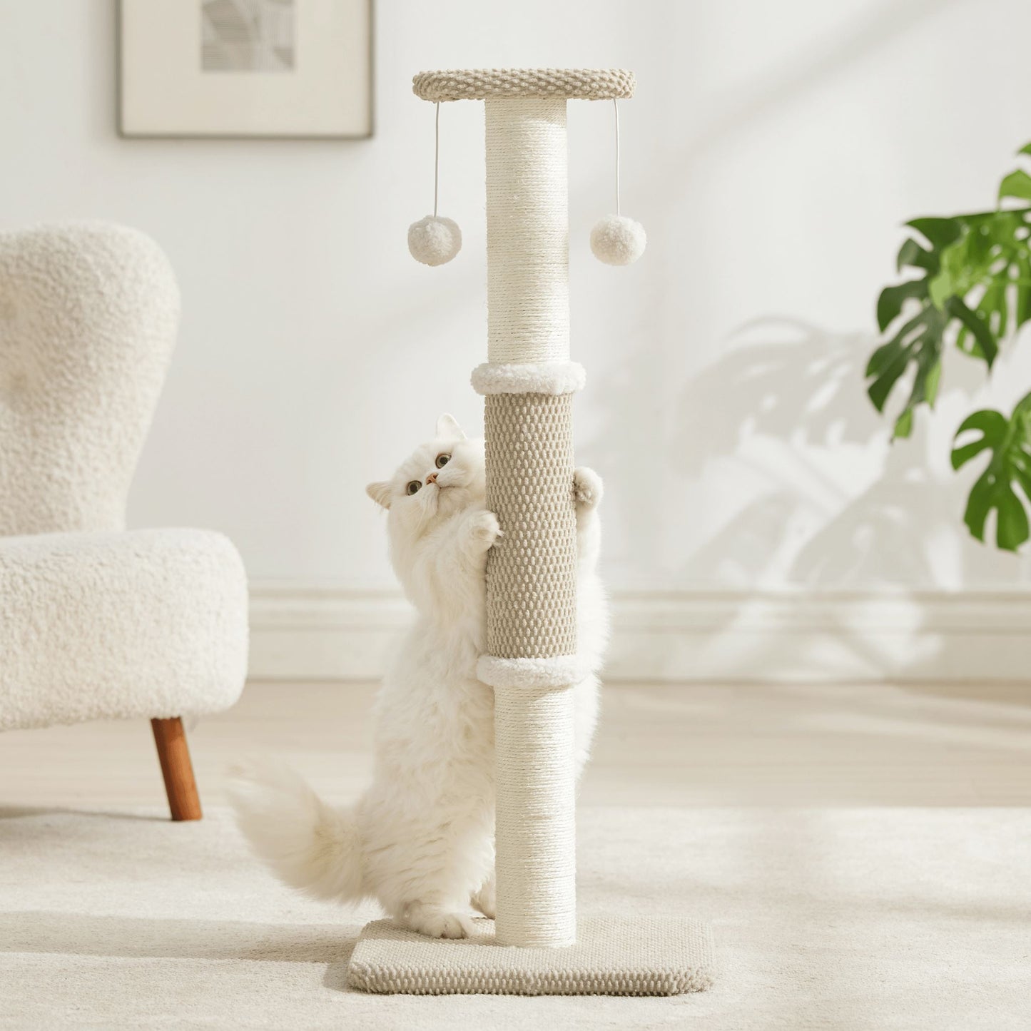 Sisal Cat Scratching Post Pet Supplies Lesure Pet