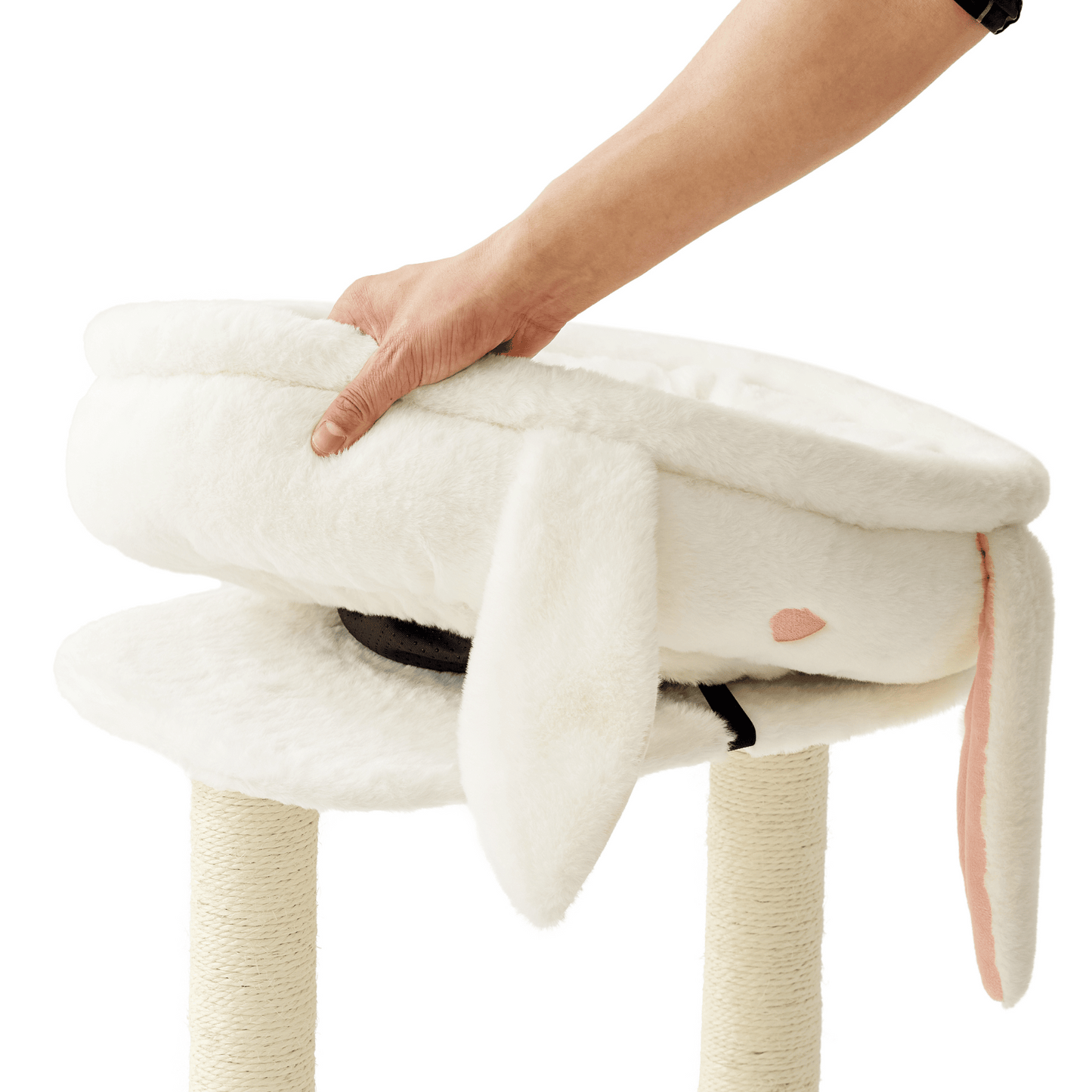 2-in-1 Cat Scratching Post