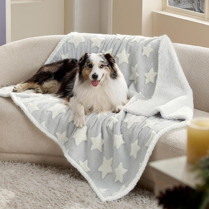 Lesure Waterproof Puppy Blanket for Dog/Cat Puppy Blanket Lesure Pet