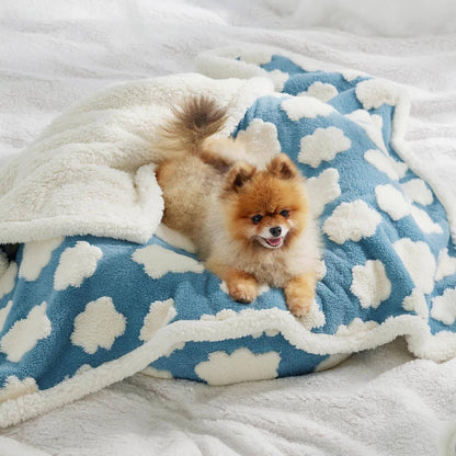 Lesure Waterproof Puppy Blanket for Dog/Cat Puppy Blanket Lesure Pet