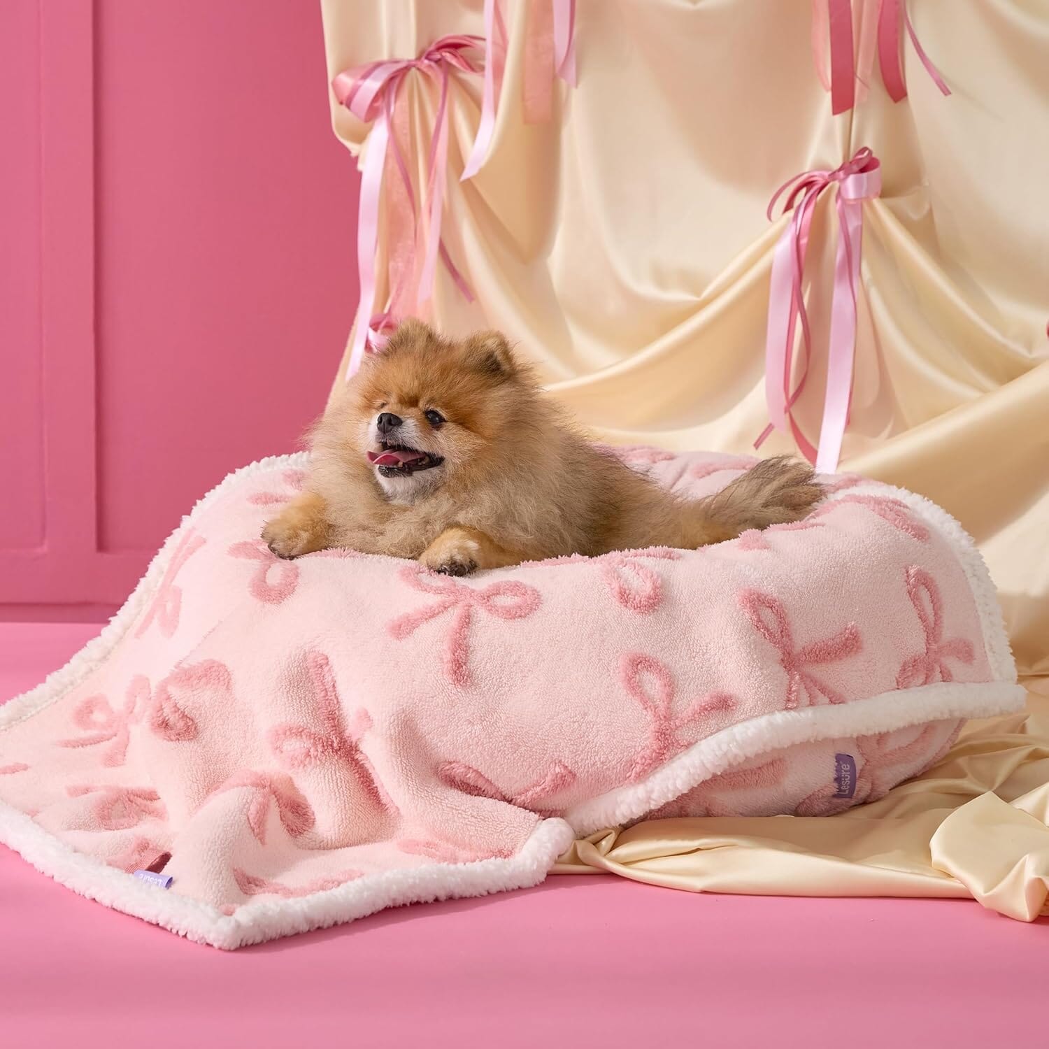 Lesure Calming Donut Bed & Blanket for Dog/Cat Lesure Pet