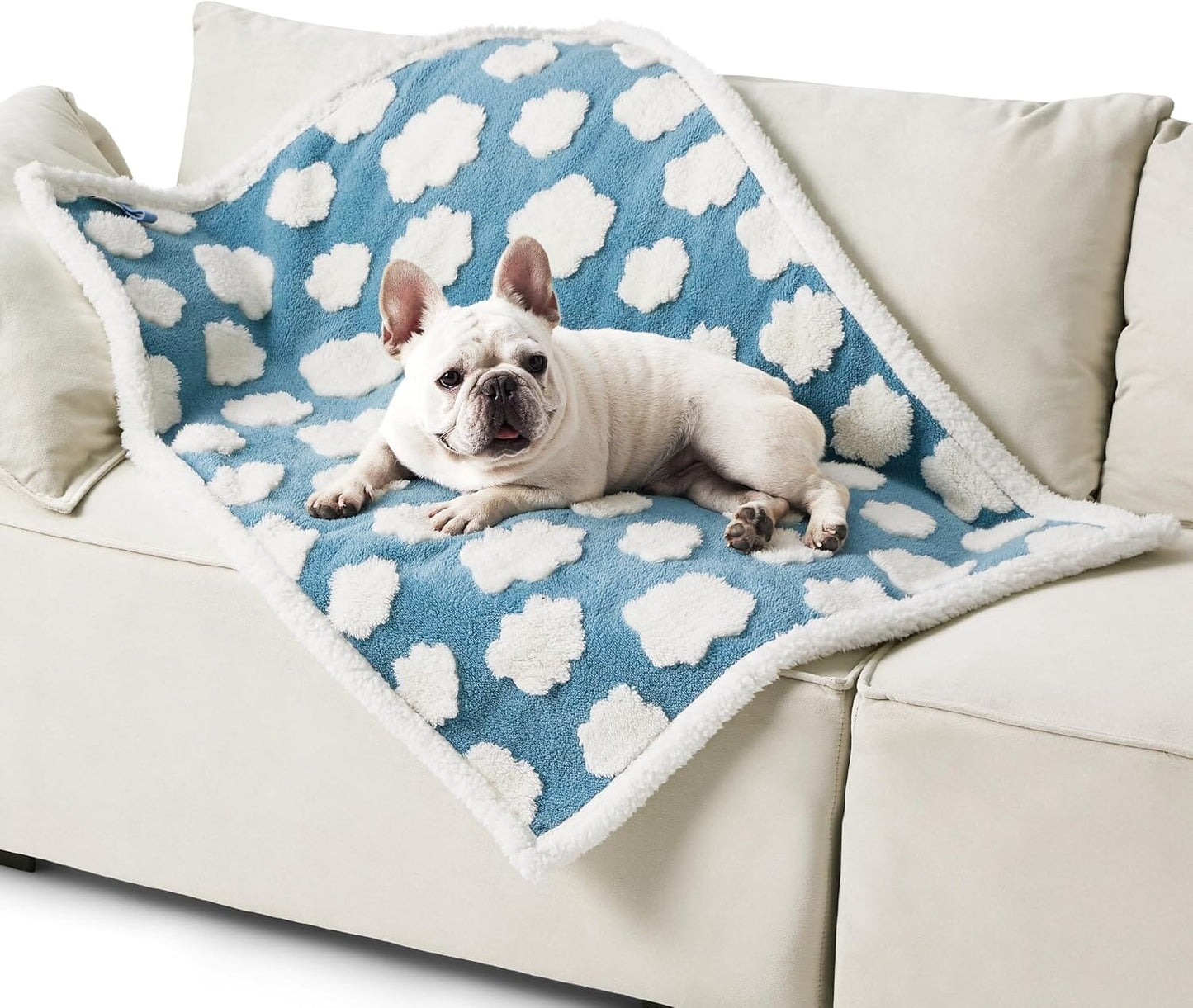 Lesure Waterproof Puppy Blanket for Dog/Cat Puppy Blanket Lesure Pet