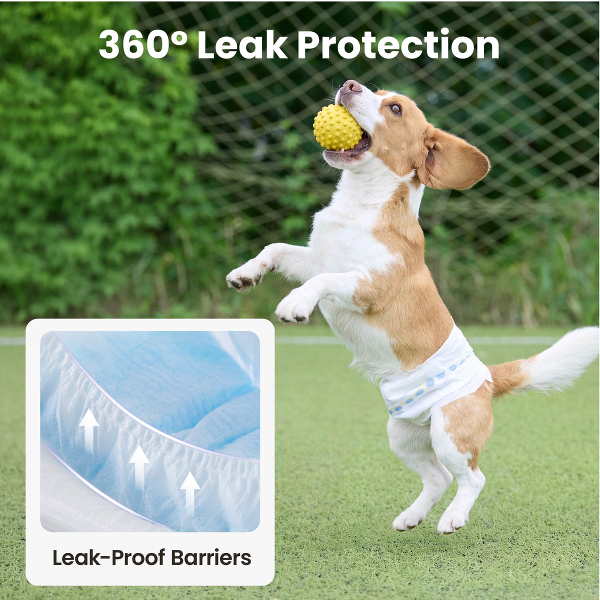 Lesure Disposable Male Dog Diapers