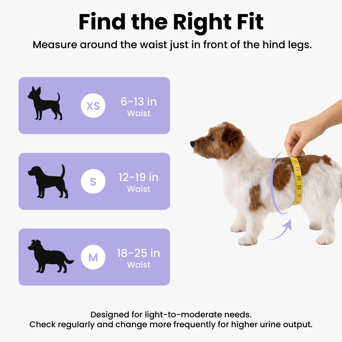 Lesure Disposable Male Dog Diapers