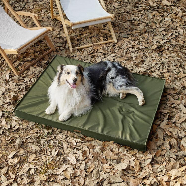 Lesure Waterproof Dog Bed Pet Bed Lesure Pet