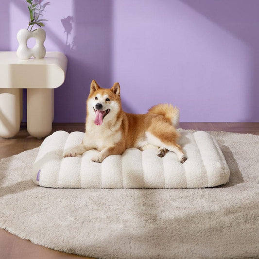 Lesure Orthopedic Dog Bed Pet Bed Lesure Pet