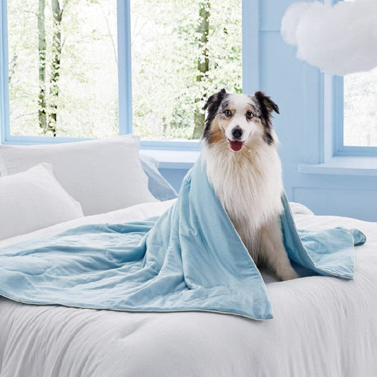 Lesure Cooling Blanket for Cat/Dog Puppy Blanket Lesure Pet