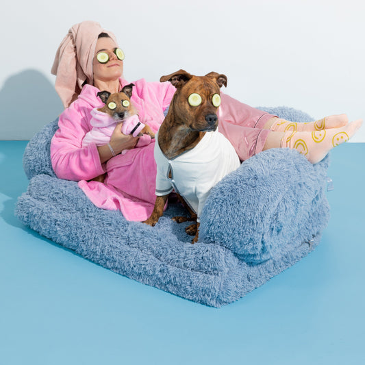 Foldable Human Dog Bed Pet Bed Lesure Pet