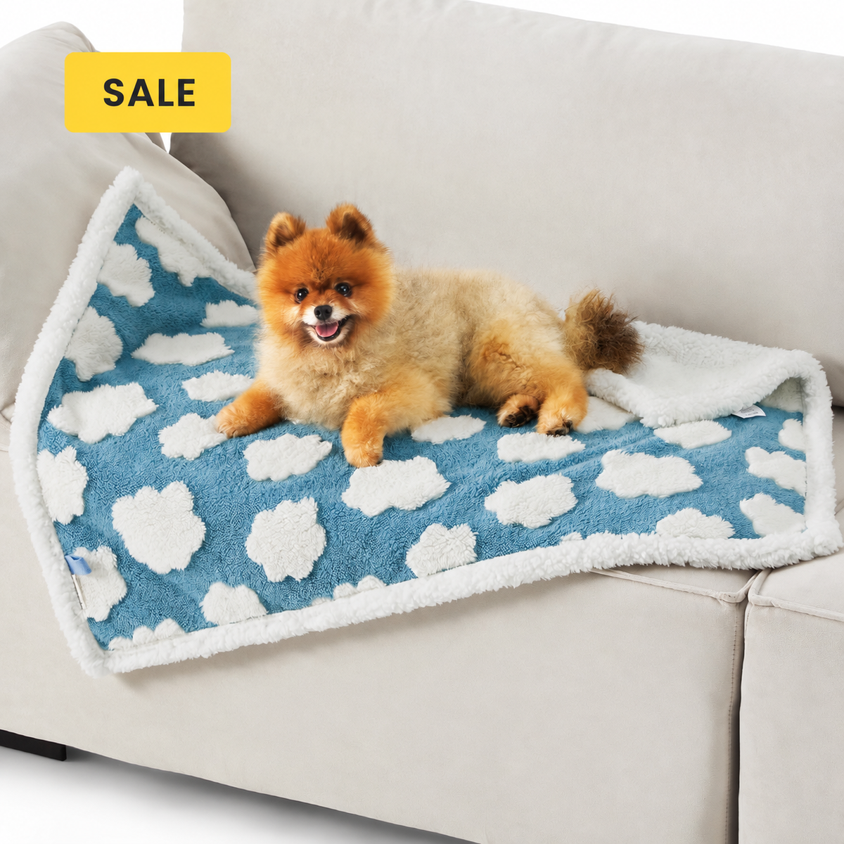 Lesure Waterproof Puppy Blanket for Dog/Cat