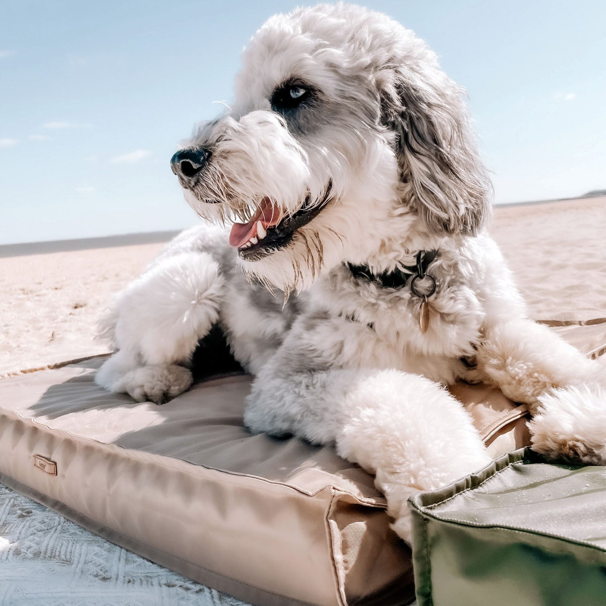 Grey Waterproof Liner Large Orthopedic Dog Bed Outdoor Summer Pets Crate  Mat Pad