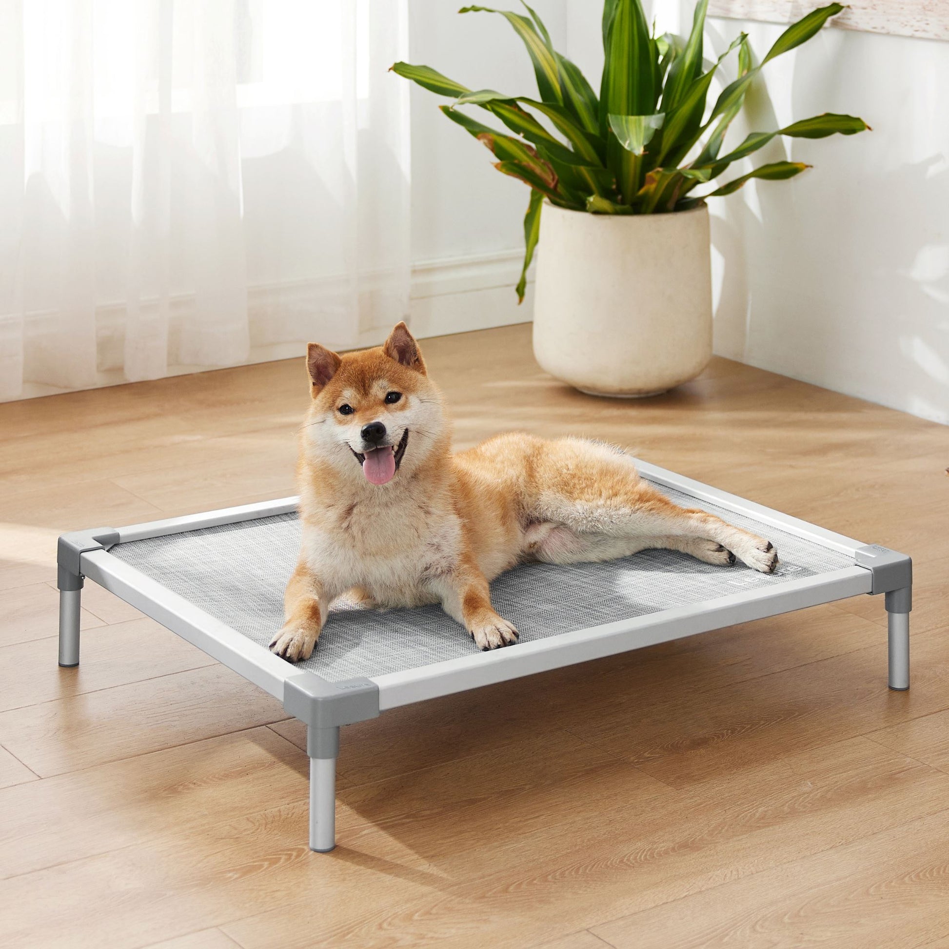 Chew-Proof Dog Beds  Tear-Resistant Dog Beds for Sale