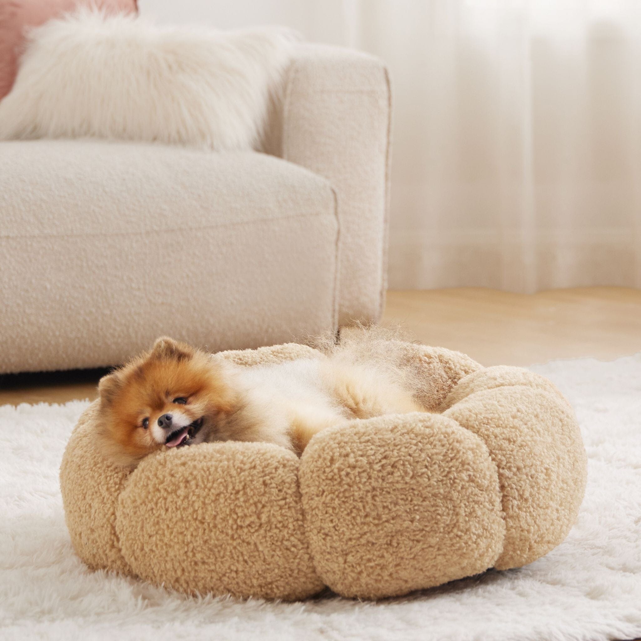 Flower dog outlet bed