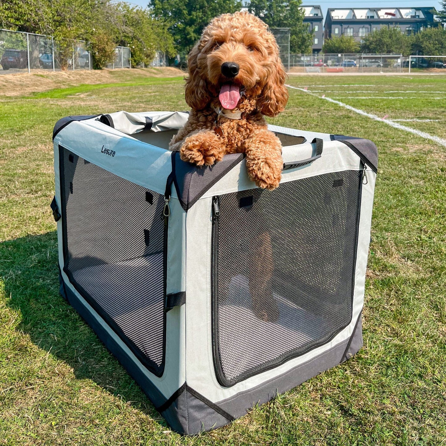 Collapsible Soft-Sided Crate Pet Crate Lesure Pet