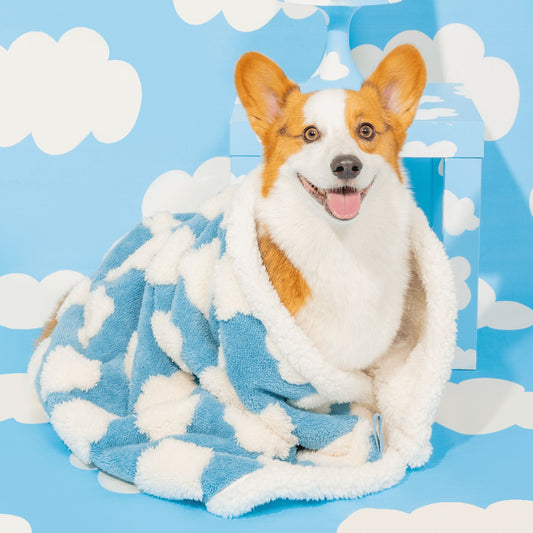 Waterproof Calming Pet Blanket Lesure Pet
