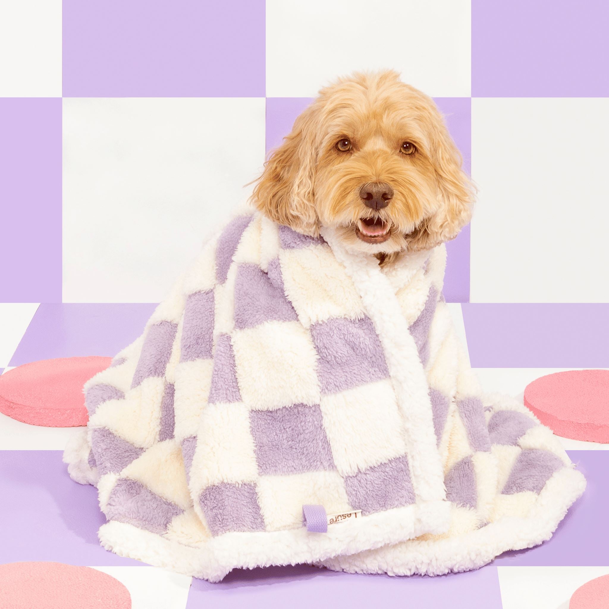 Purple dog online blanket