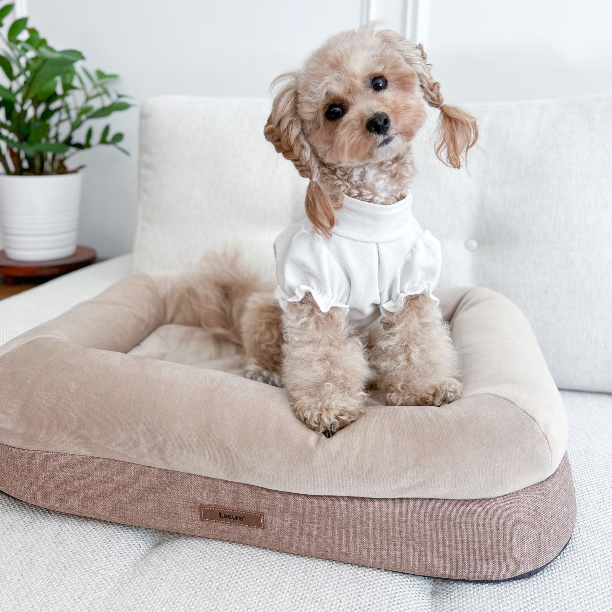 Large cuddler dog outlet bed