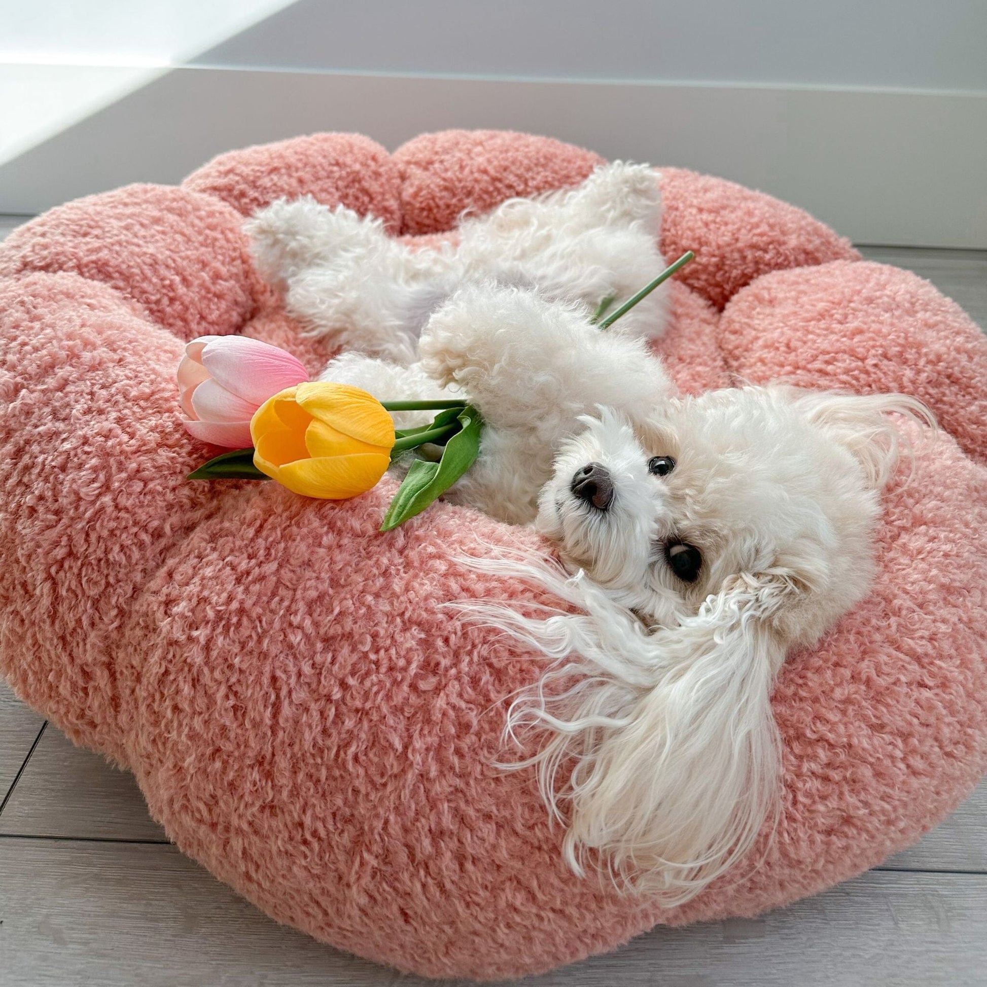 Calming Flower Bed Pet Bed Lesure Pet