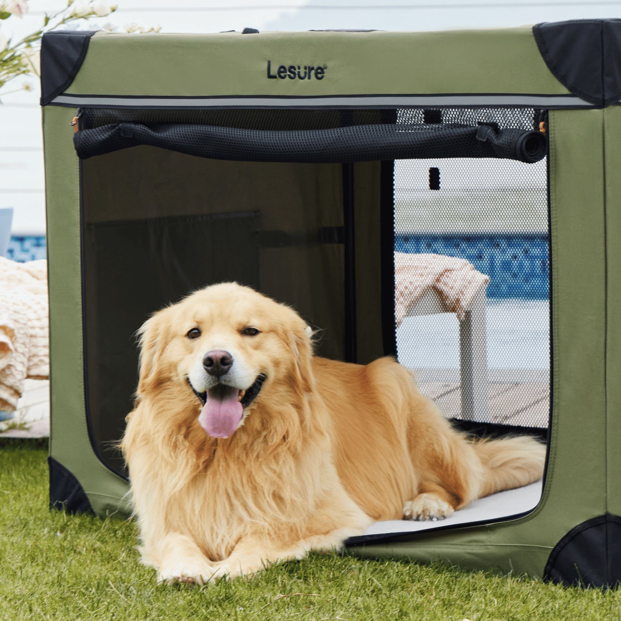 Soft Sided Travel Crate Lesure Pet