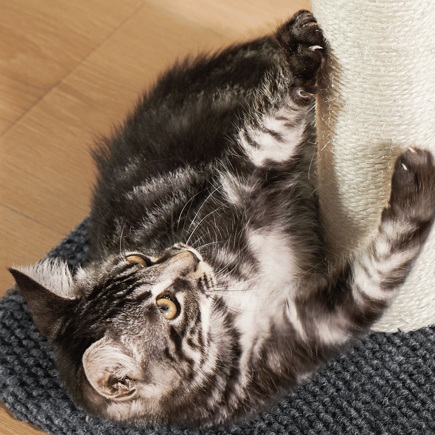 Sisal Cat Scratching Post Pet Supplies Lesure Pet