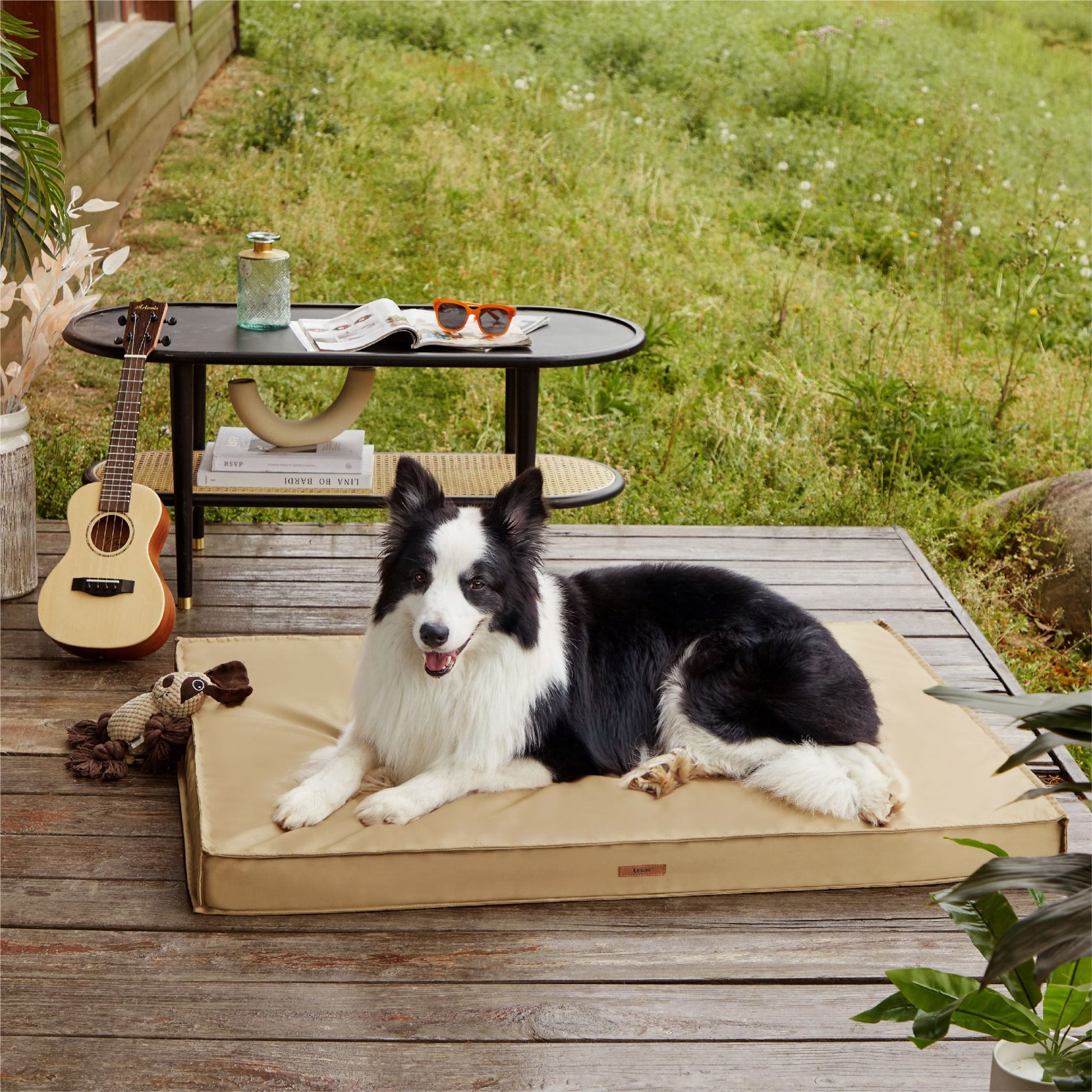 Orthopedic Dog Bed  Egg Crate Foam Pet Bed Mat - Copper-Pet Bed – Friends  Forever Pets