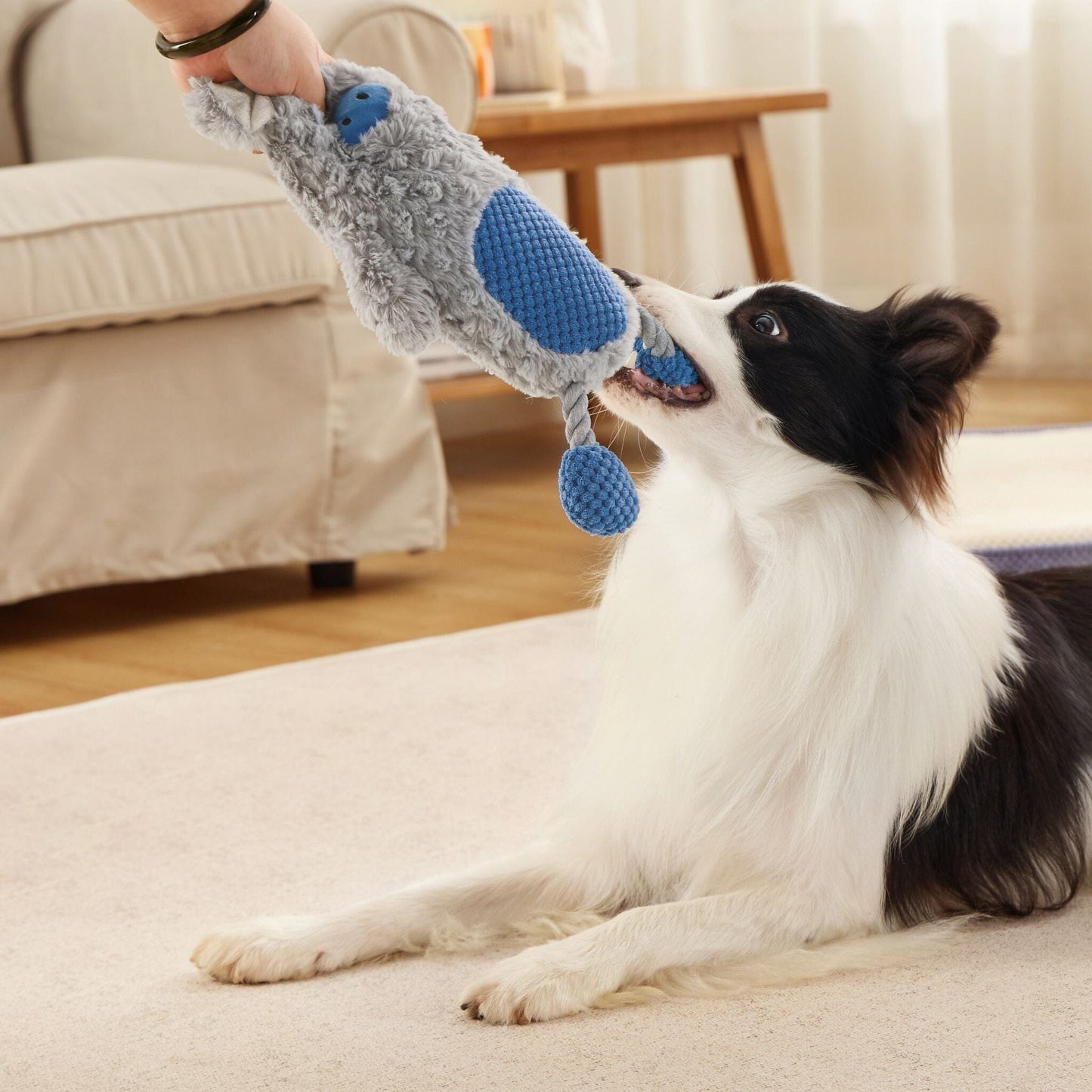 Squeaky Toys Dog Toys Lesure Pet