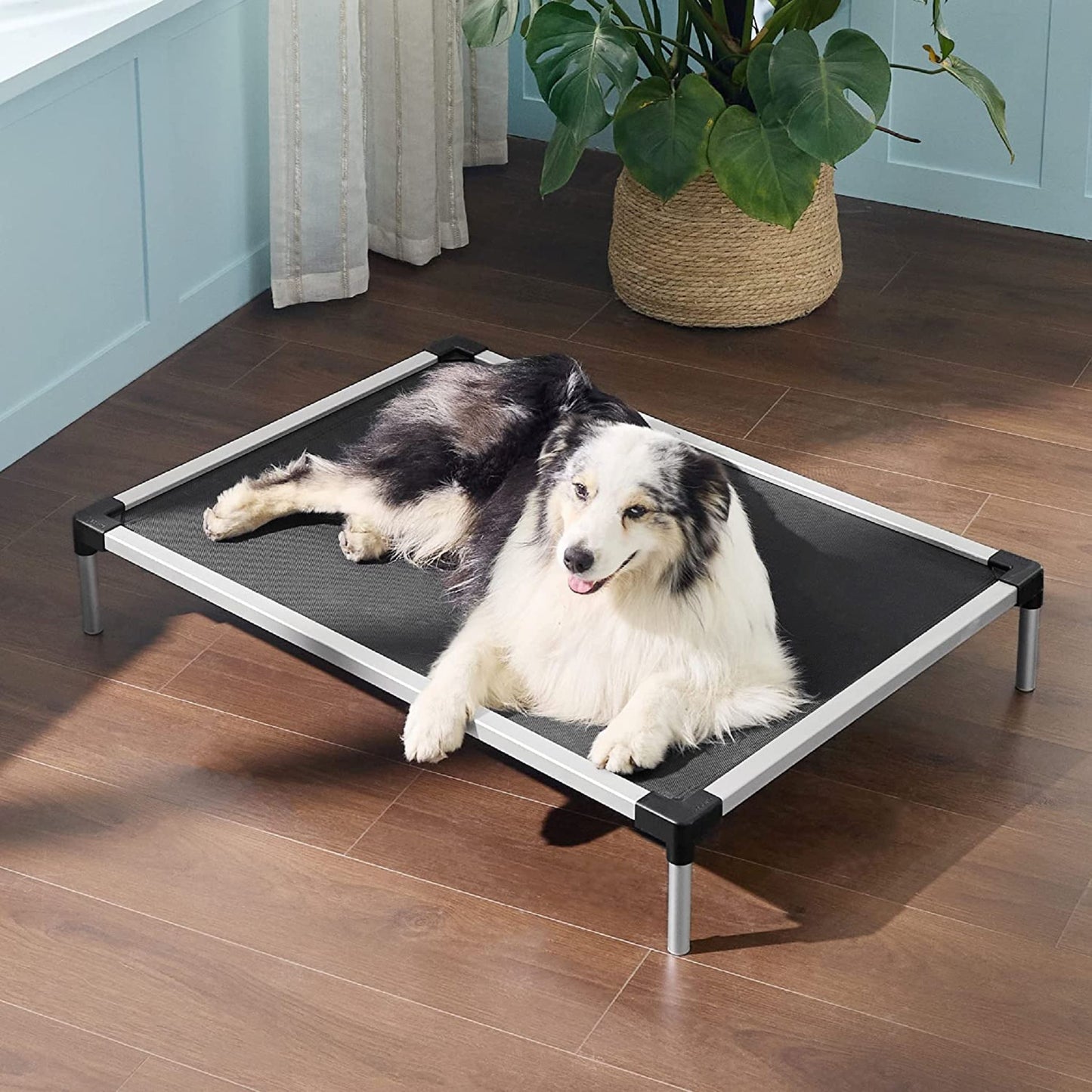 Elevated Bed Elevated Bed Lesure Pet