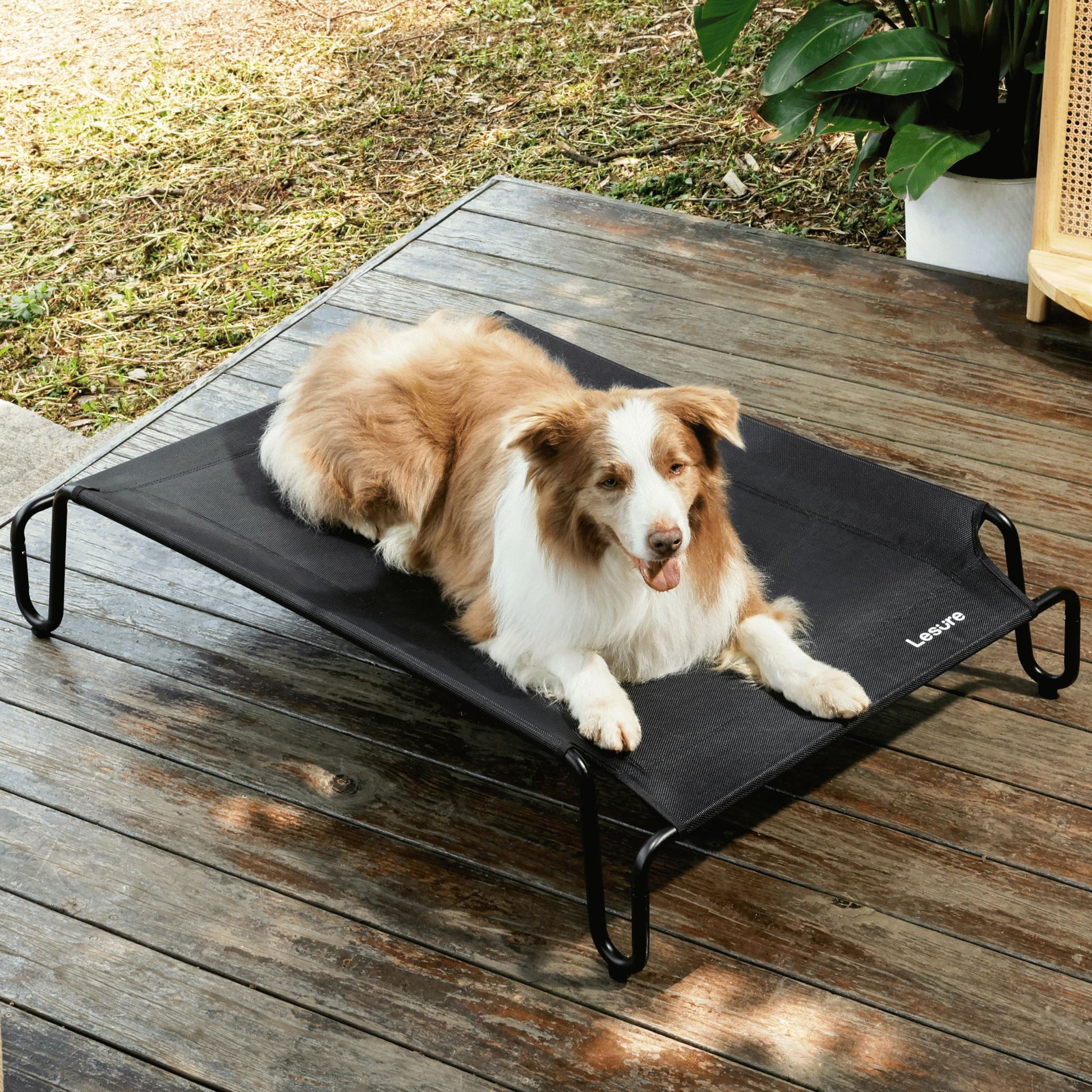 Easy Assembly Elevated Bed Pet Supplies Lesure Pet