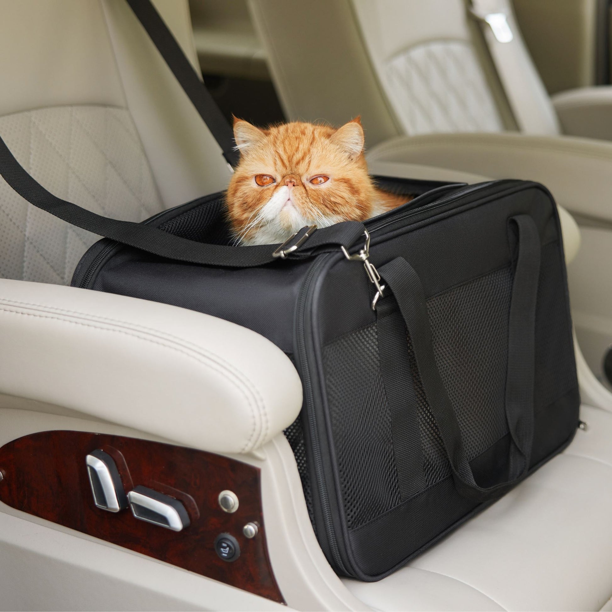 TSA-Approved Pet Carrier