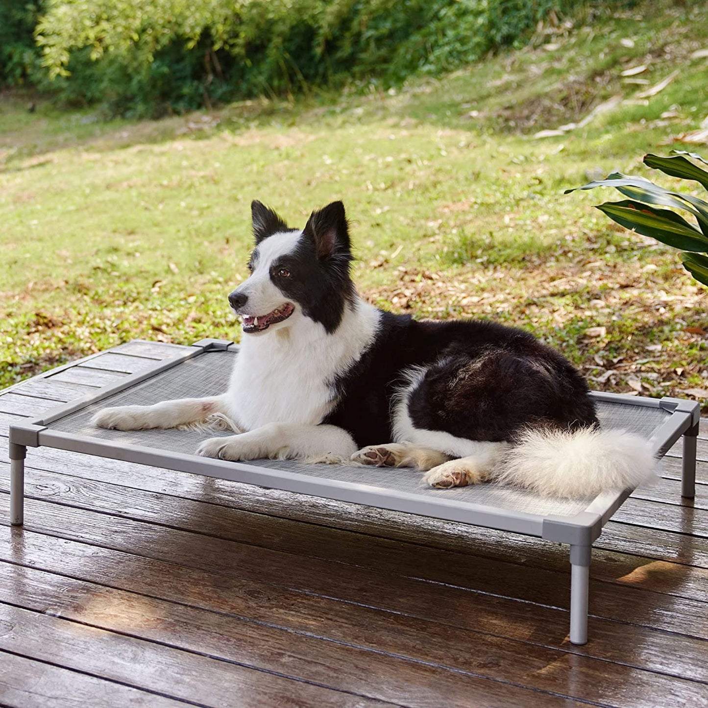 Elevated Bed Elevated Bed Lesure Pet