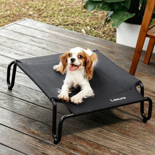Easy Assembly Elevated Bed Pet Supplies Lesure Pet