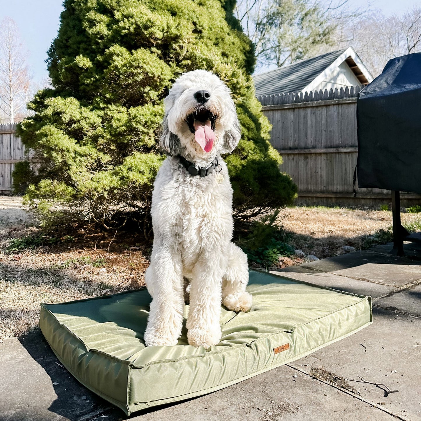 Orthopedic Dog Bed  Egg Crate Foam Pet Bed Mat - Copper-Pet Bed